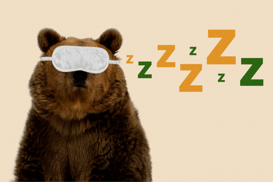 Научившись спать, как медведь, вы можете спасти себе жизнь