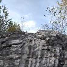 Gala, г. Санкт-Петербург