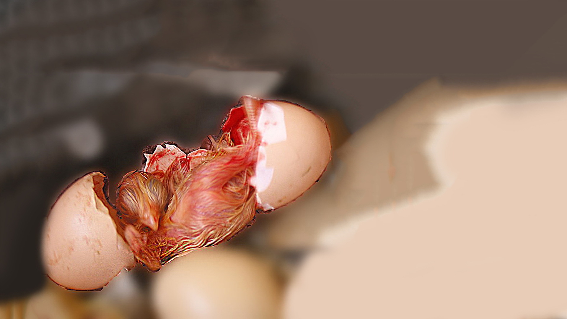 "Фаза", "выход из тела", "осознанный сон" и "астрал" - чем отличаются друг от друга эти состояния?