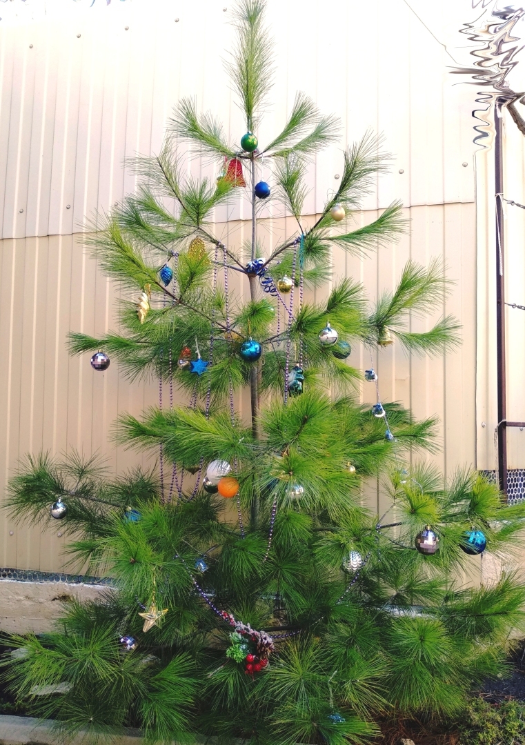 🎅🎄☃️Новый Год к нам мчится, скоро все случится... Мои новогодние шедевры по украшению дома❄️