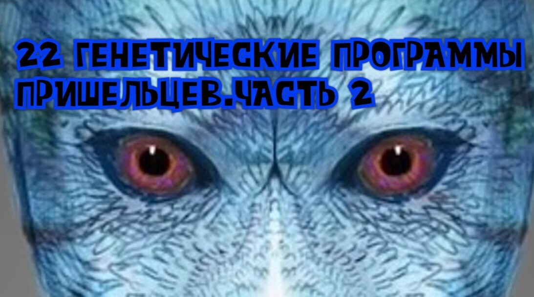 22 генетические программы пришельцев.часть 2