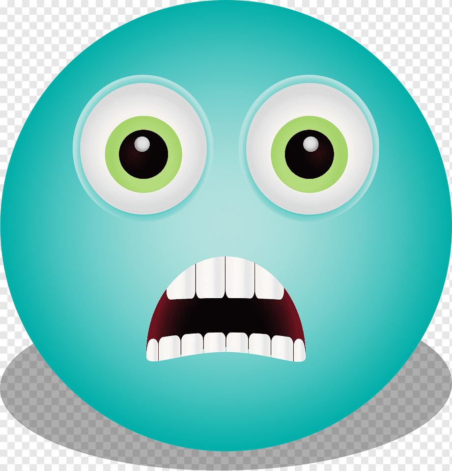 С каким выражением лица нужно встречать наступающий 2024 Новый год?