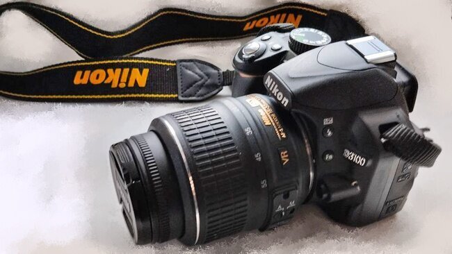 Почему мы не замечаем природу, которая нас окружает