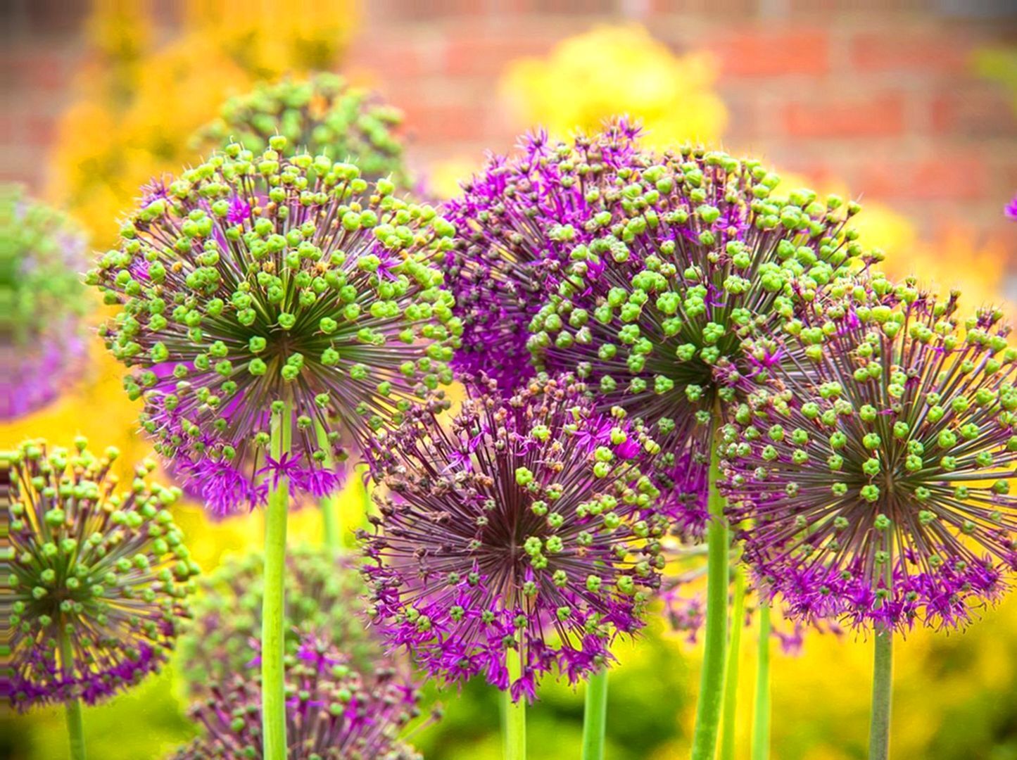 3 урока по отношениям из киноленты «Служебный роман» (которые актуальны и сейчас)