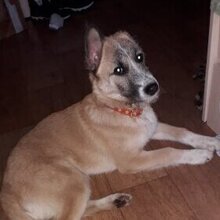 Марина, г. Красноярск