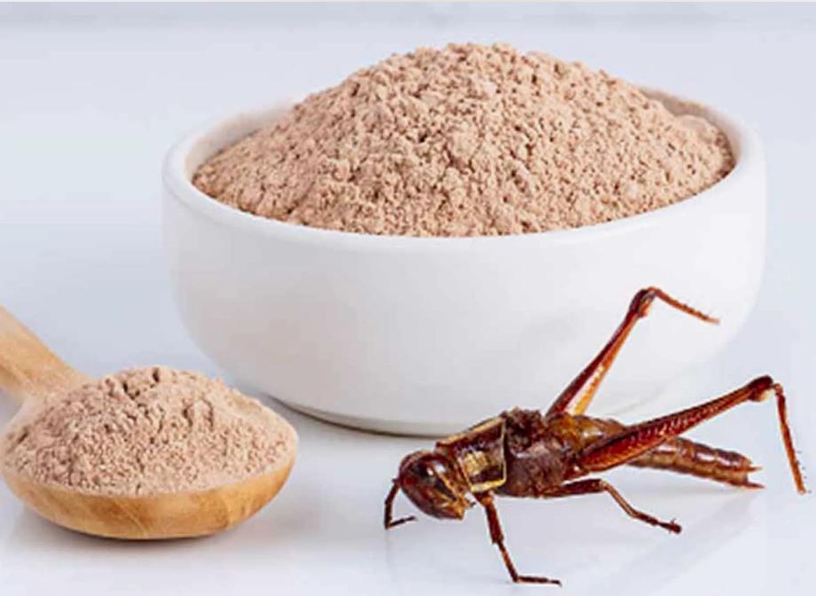 Готовьтесь. Печенье подорожает в очень большие разы. Муки для печенья не хватает. Будут делать муку из сверчков.