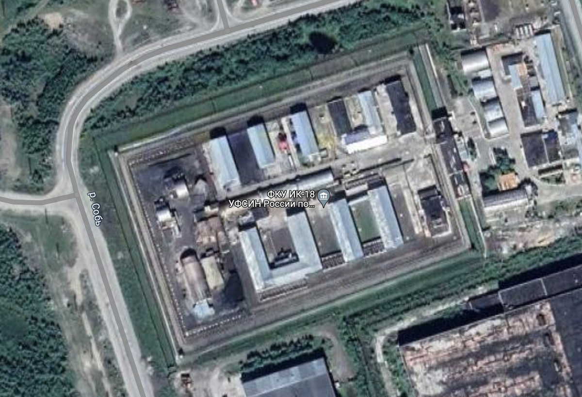 Пропавший Навальный нашелся в поселке Харп, в ИК-З "Полярный волк"