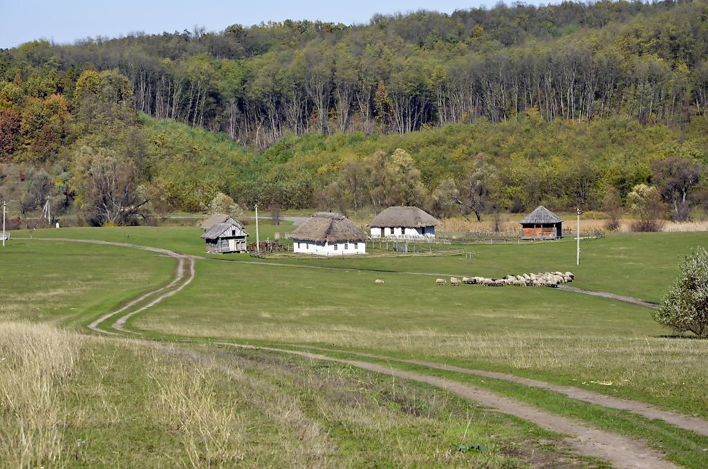 Пенсионеры, просят помощи! Но их не слышат...