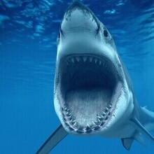 Ольга, г. Волгоград