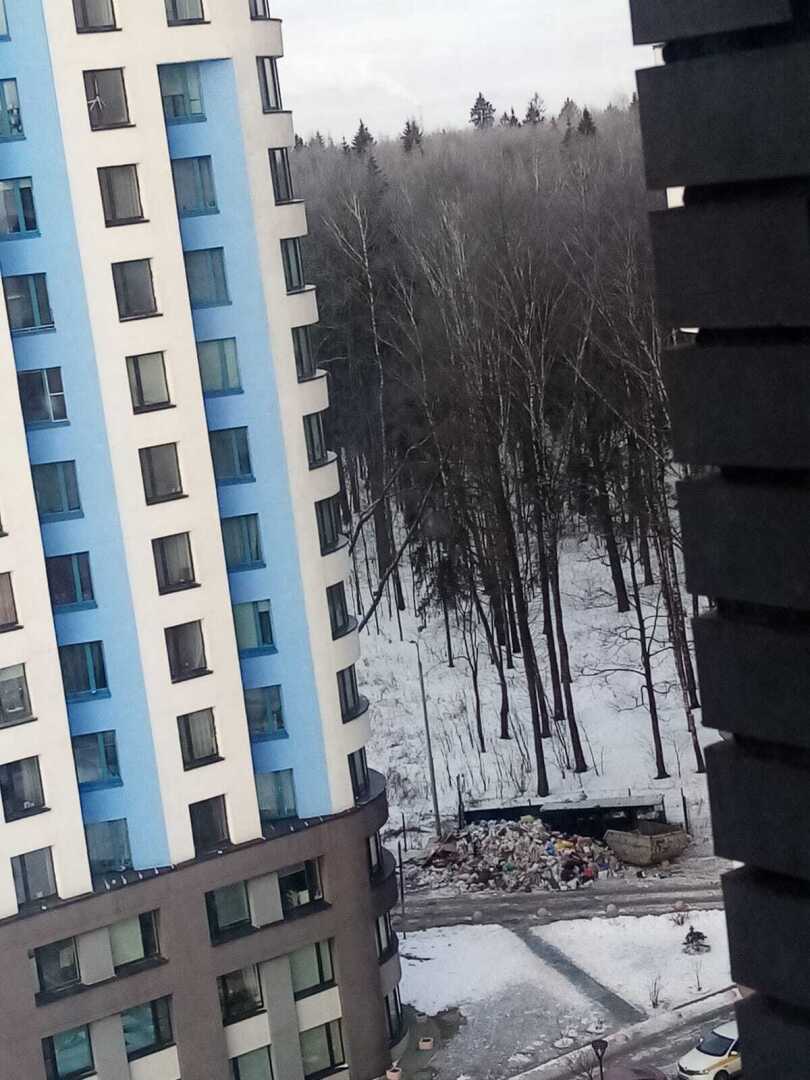 О мусорной куче, грязных подъездах, нечищеных улицах и не только