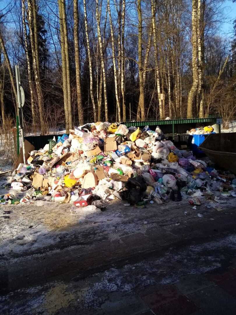 О мусорной куче, грязных подъездах, нечищеных улицах и не только