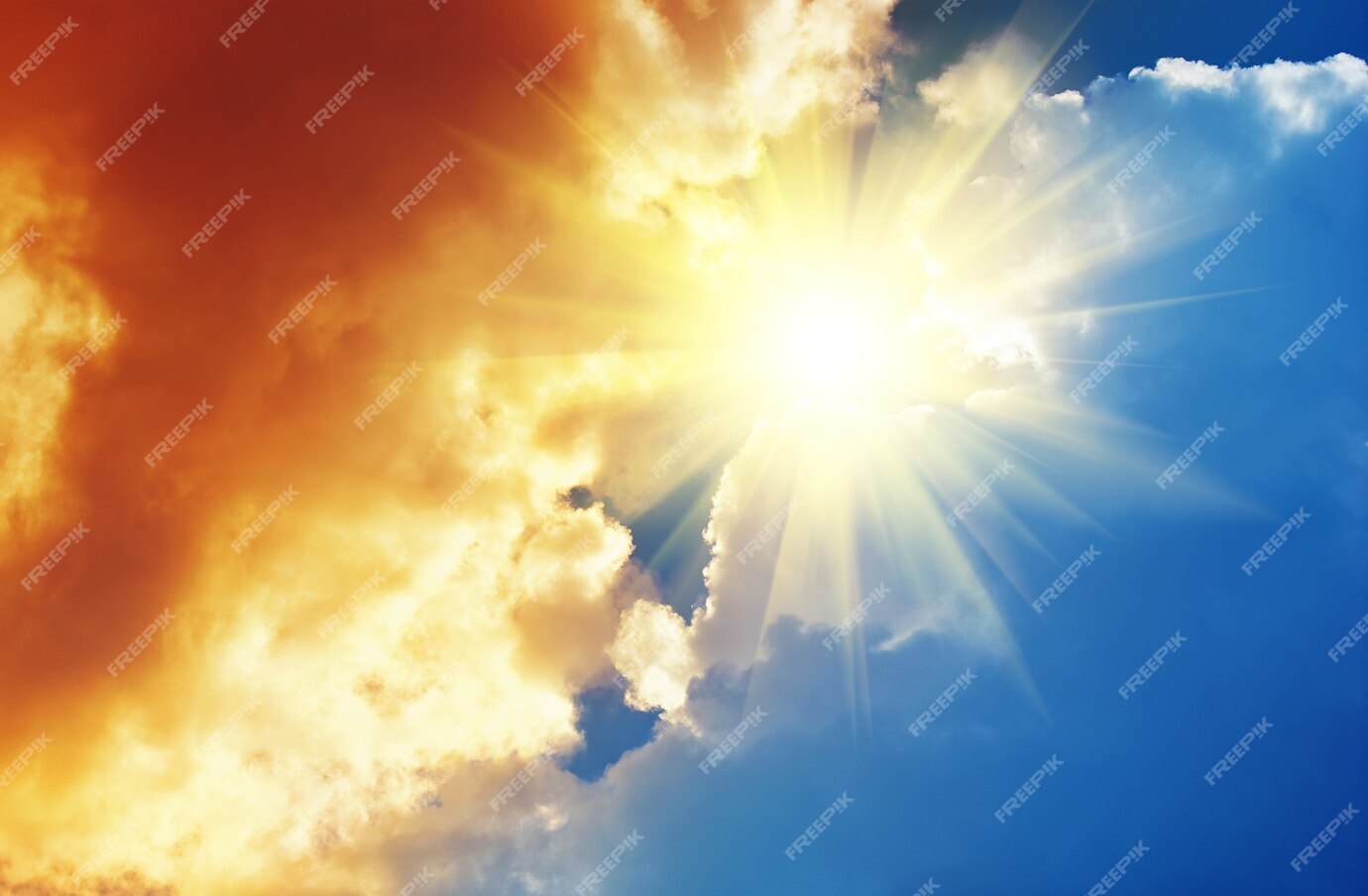 Предполагают что данный 24 год будет самым жарким в истории!