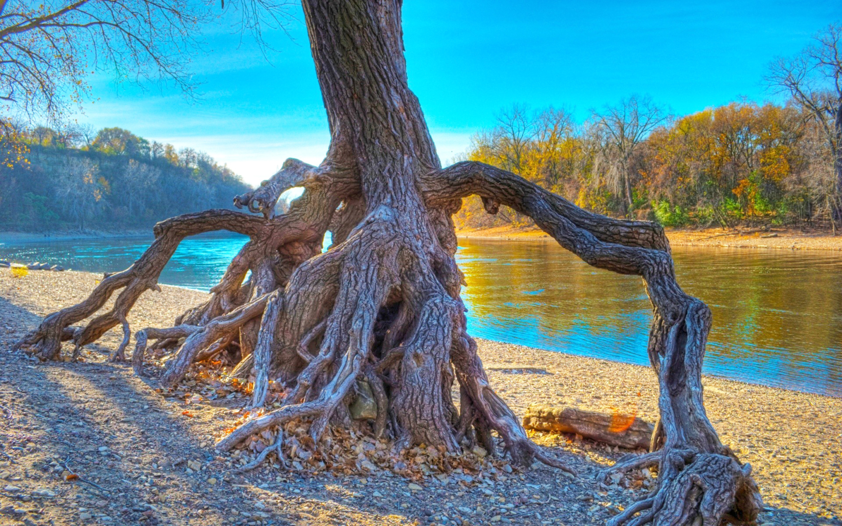 О сокровенных тайнах чакры "Свадхистаны"! Глава первая...