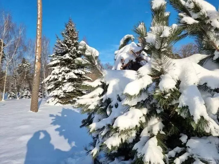 Страшной день: что можно и нельзя делать 11 января 2024, чтобы уберечь себя от бед