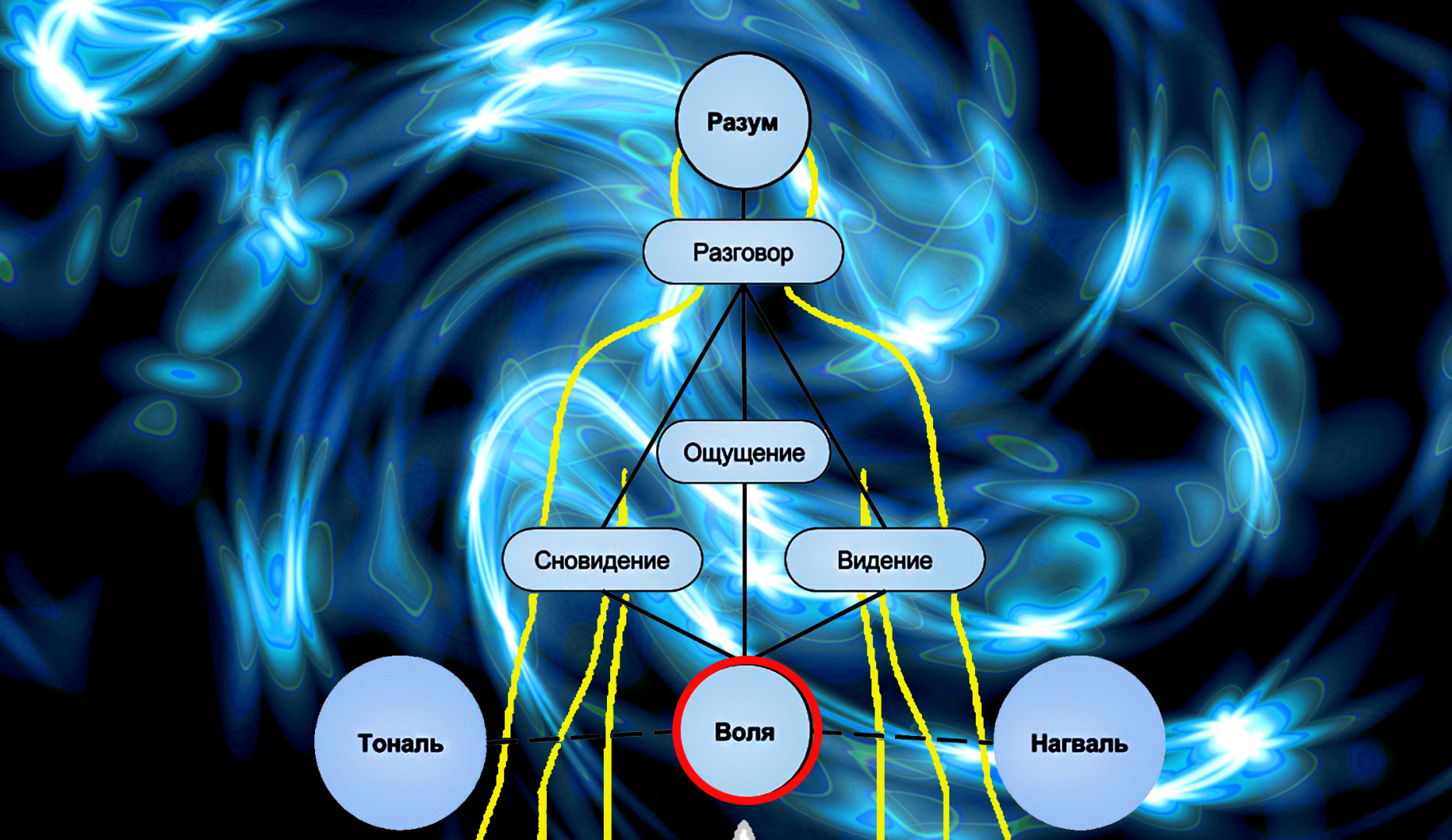 О сокровенных тайнах чакры "Свадхистаны"! Глава вторая...