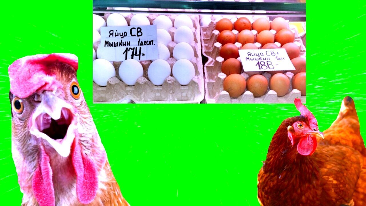 Почему в РФ резко подскочили цены на яйца