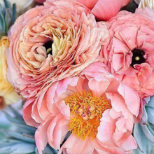 Ольга, г. Сочи