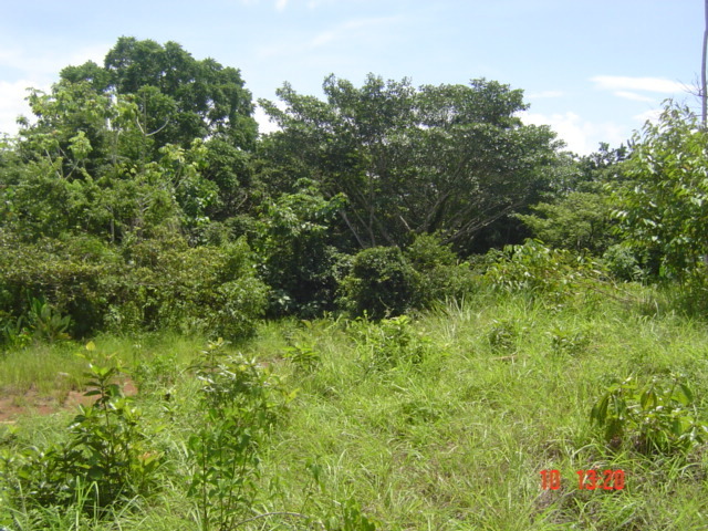 Электричество – не игрушки. Часть 1. Мы с женой решили начать процесс подготовки к строительству своего дома