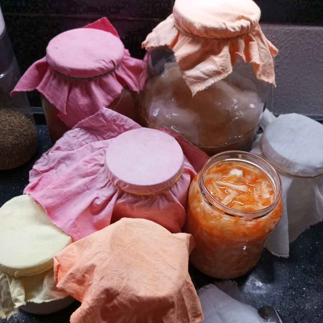 Домашняя ферментация - вторичная ферментация чайного гриба и морского риса на фруктах