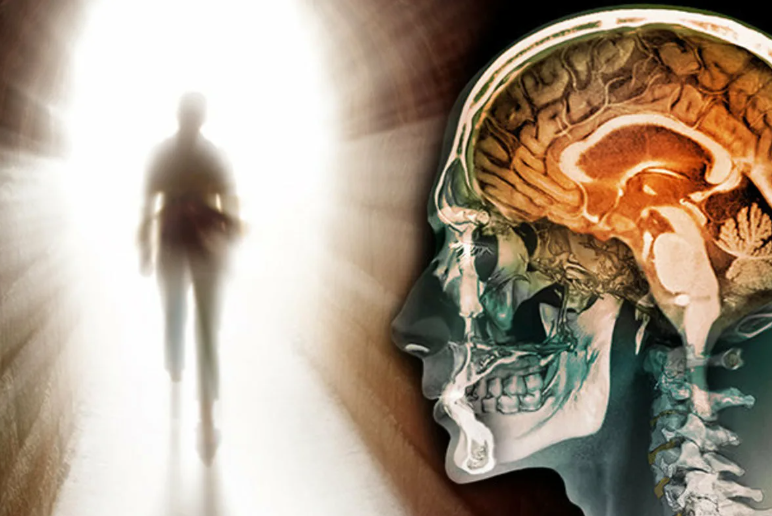 Что видит человек перед смертью? Учёные раскрыли секрет