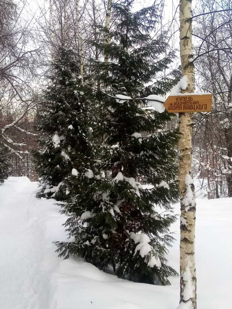 Крещенский сочельник. Крещение Господне. Как я встретила Праздник