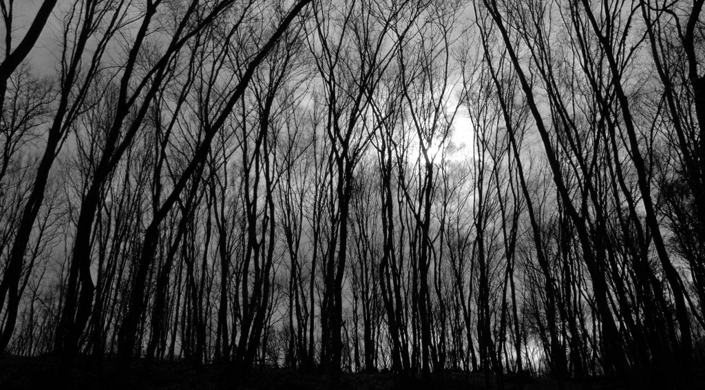 Коллега вышел на пенсию и спустя 2 месяца умер! Как дожить до пенсии?