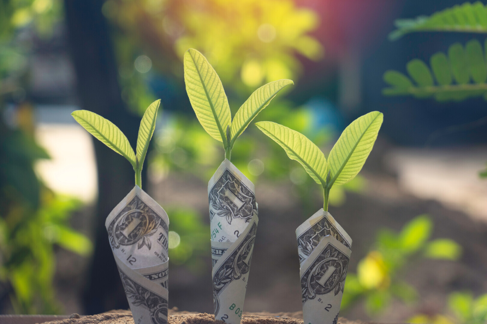 О дивидендах простыми словами