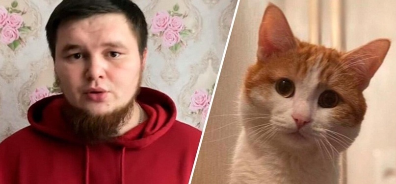 Что на самом деле произошло с котом Твиксом: что будет с проводницей после подписания петиции?