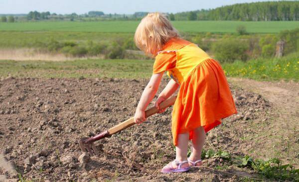 Истории из детства: Сказка про дачу
