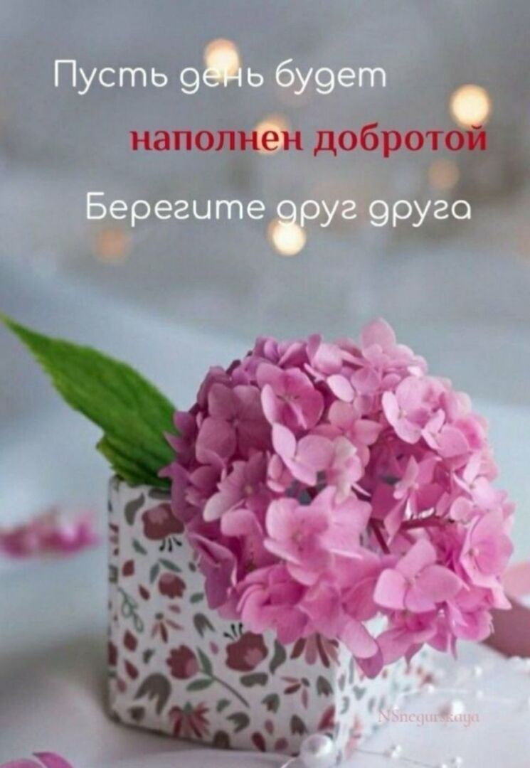 Как увеличить доход