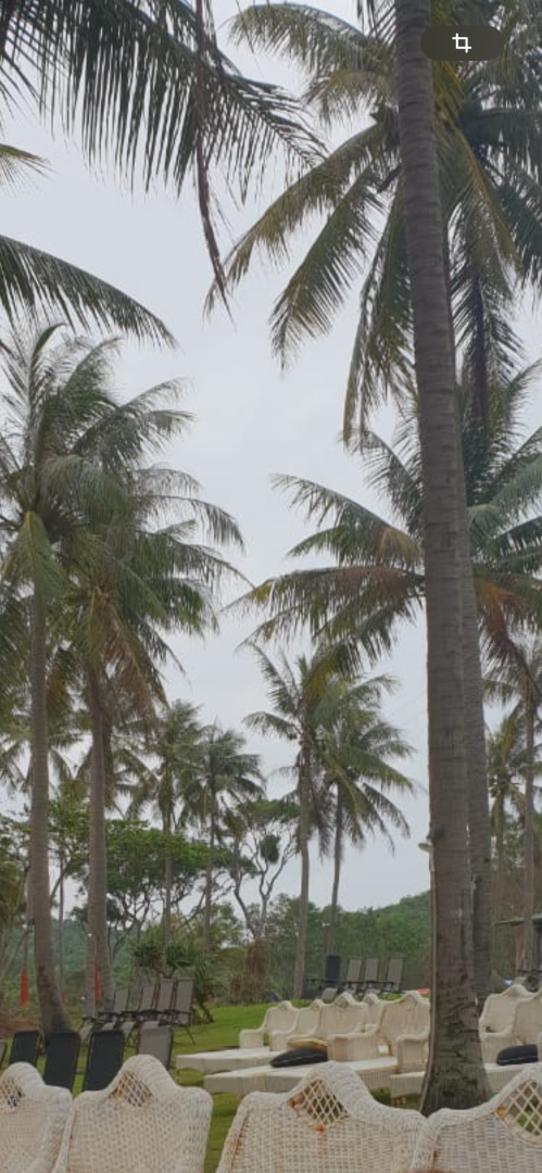 Такой загадочный и такой манящий! Чем нас удивил Вьетнам: ням-ням, сафари парк, местные рынки, фрукты и экзотическая еда. Мои впечатления и Фото
