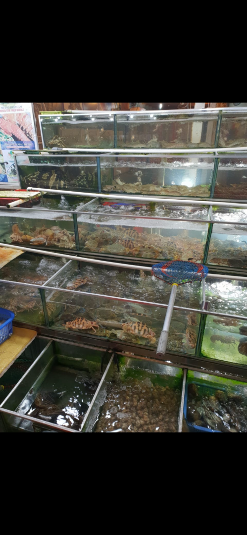 Такой загадочный и такой манящий! Чем нас удивил Вьетнам: ням-ням, сафари парк, местные рынки, фрукты и экзотическая еда. Мои впечатления и Фото