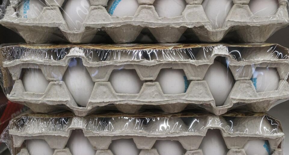🍳 Злополучные яйца. Отличия турецких яиц от российских. Сколько будут стоить турецкие яйца в России.