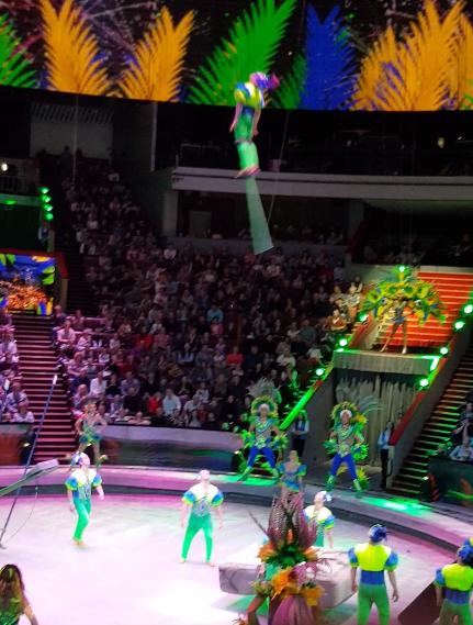 Шоу братьев Запашных. Я полюбила цирк!