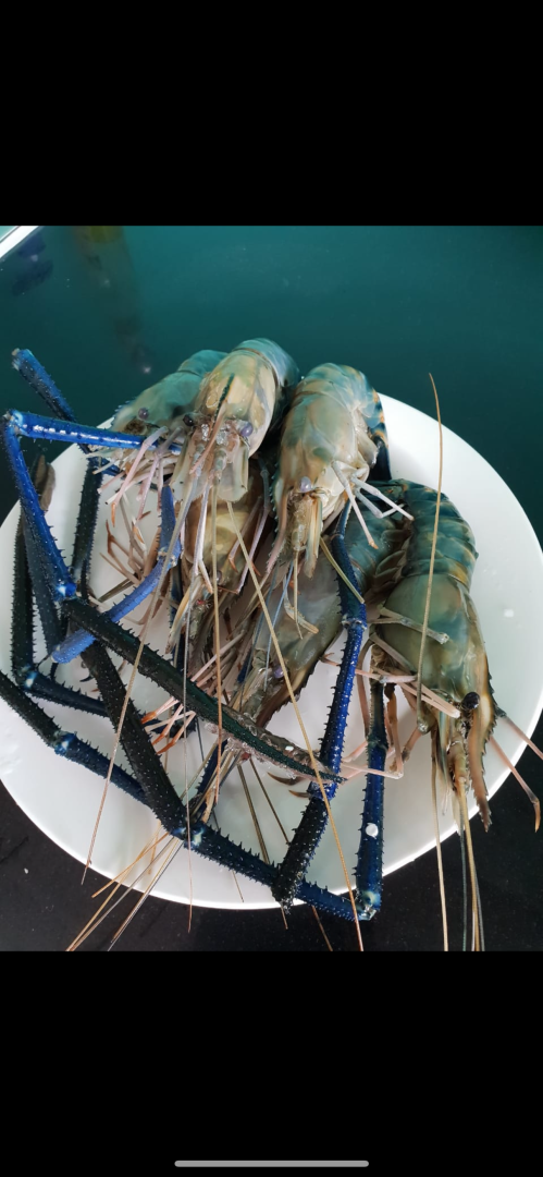 Такой загадочный и такой манящий! Чем нас удивил Вьетнам: ням-ням, сафари парк, местные рынки, фрукты и экзотическая еда. Мои впечатления и Фото