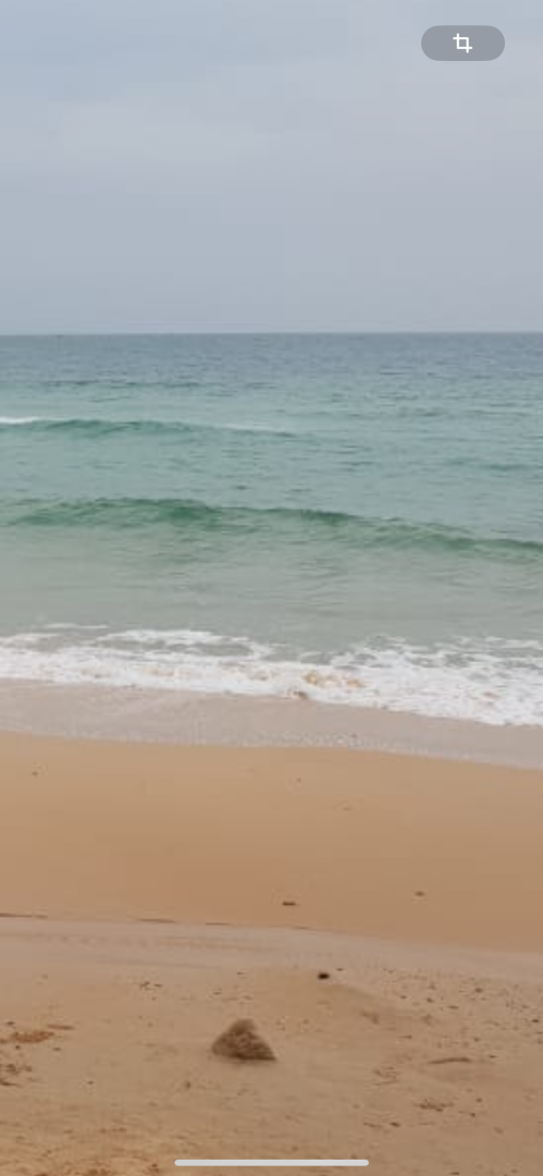 Такой загадочный и такой манящий! Чем нас удивил Вьетнам: ням-ням, сафари парк, местные рынки, фрукты и экзотическая еда. Мои впечатления и Фото