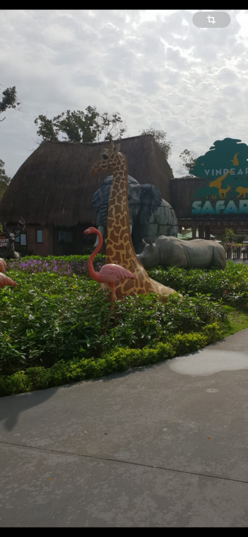 Такой загадочный и такой манящий! Чем нас удивил Вьетнам: ням-ням, сафари парк, местные рынки, фрукты и экзотическая еда. Мои впечатления и Фото