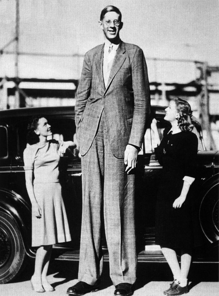 5 самых высоких людей в истории человечества