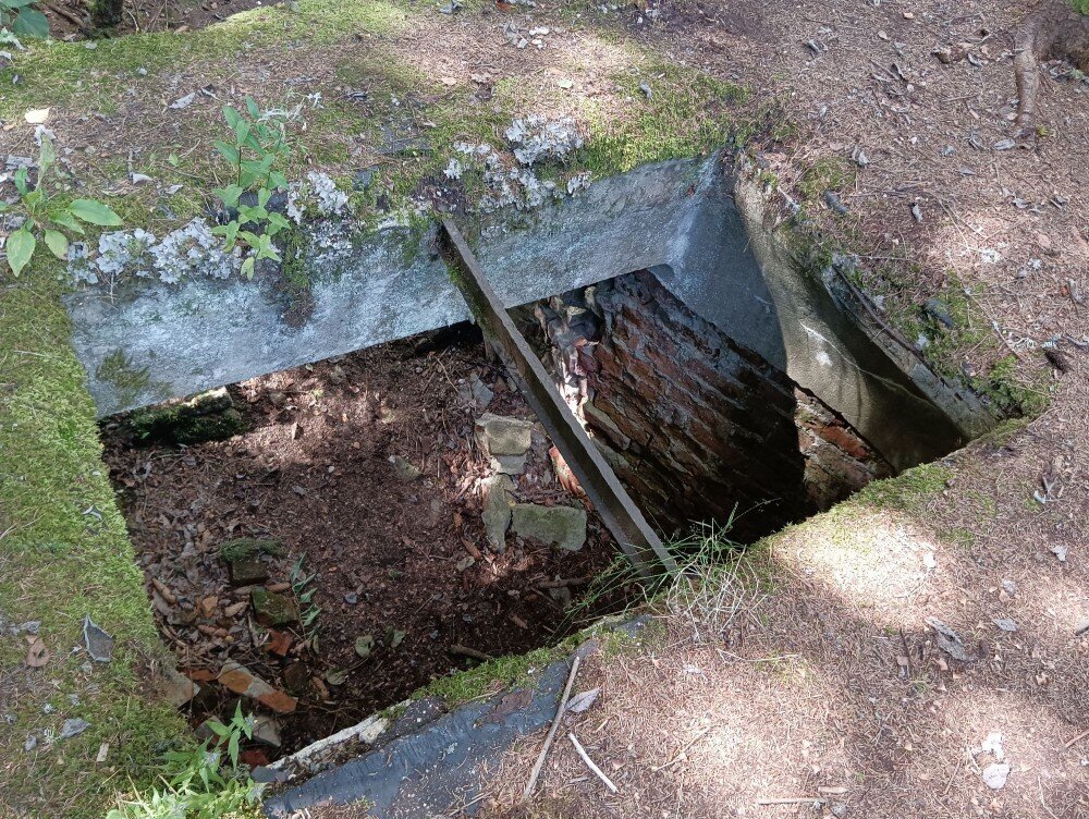 Погребов ушел. Сарай с погребом. Погребов ушел. Страшный погреб. Погребов ушел.