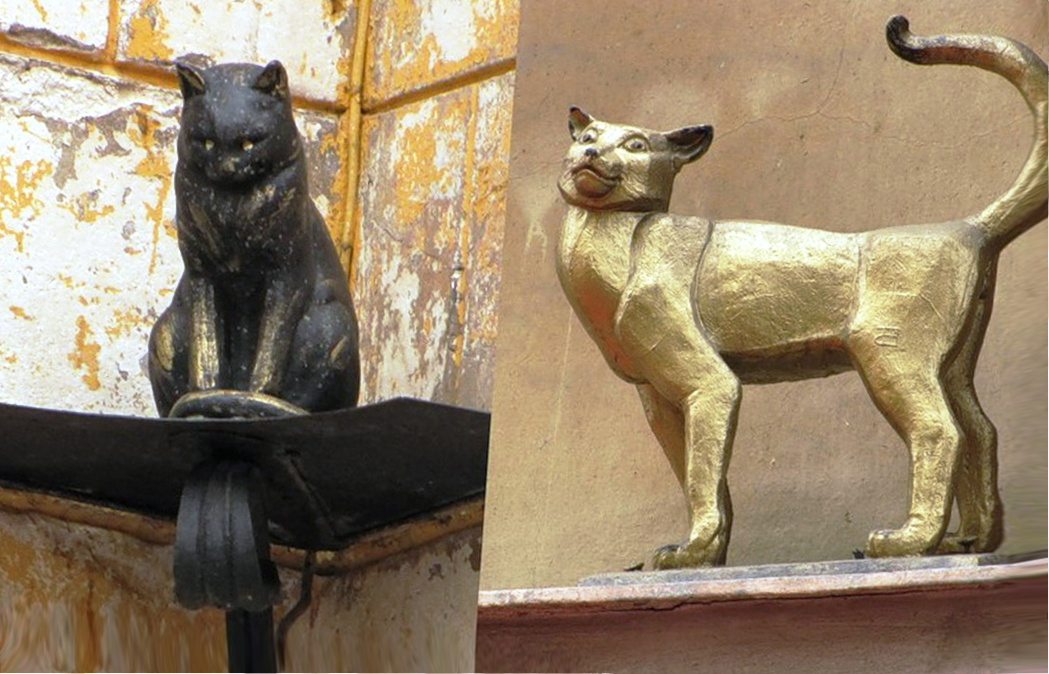 Как предки «эрмитажных» кошек помогли выжить блокадному Ленинграду. К 80-летию снятия блокады. Много исторических фото