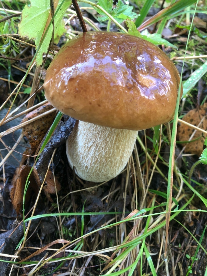 Иди по тротуару с правой стороны. Лево право задания для детей. Безопасность на железной дороге. Справа хожу слева хожу. Безопасное поведение на железной дороге для детей.