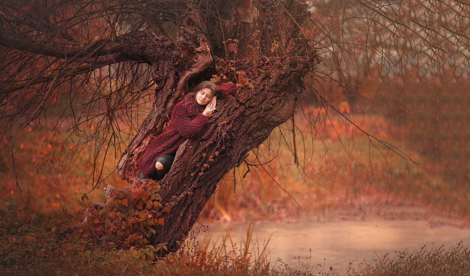 Моя жизнь на деревьях по Карлосу Кастанеде!