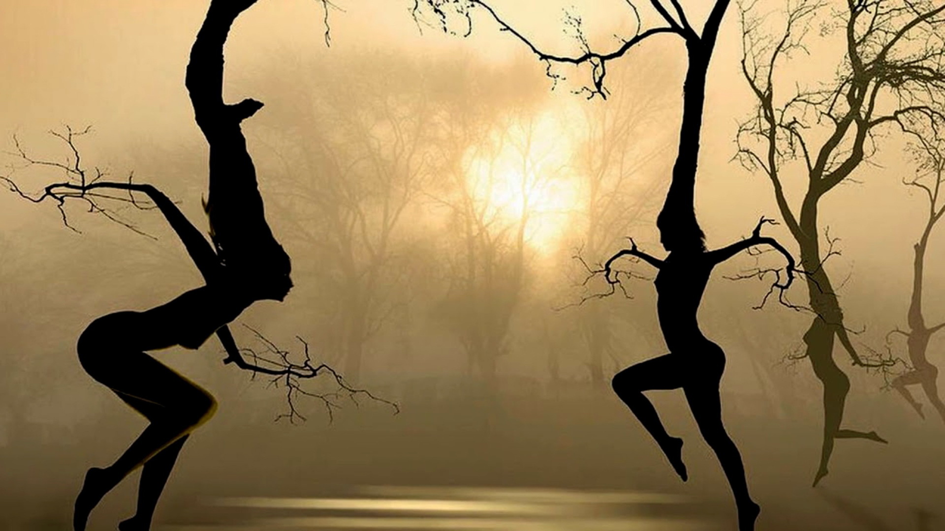 Моя жизнь на деревьях по Карлосу Кастанеде!