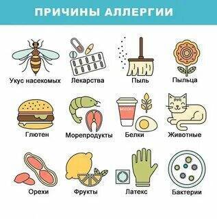 Профилактика пищевой аллергии у детей.