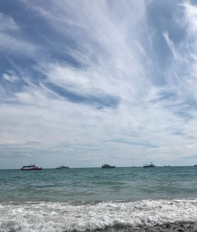 Моя интересная поездка в город Сочи