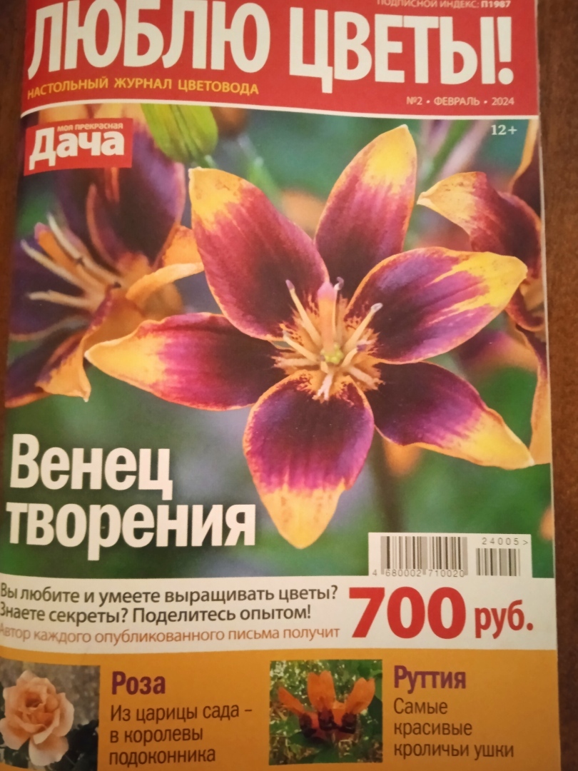 Новый журнал и новые статьи: моя вторая публикация журнале "Люблю цветы", что притягательного в моих зимних цветах