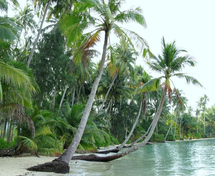 Наше путешествие на остров Ко Чанг (Тайланд). Из зимы в лето