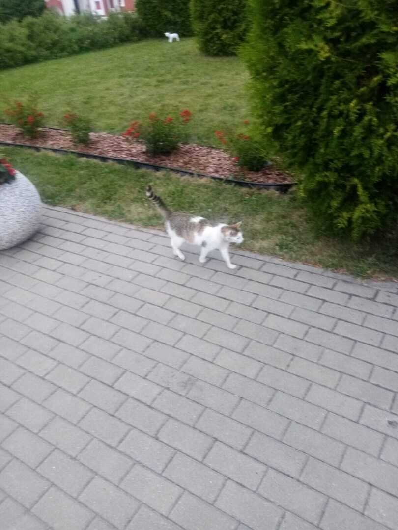 воскресенский собор углич. монастыри принимающие. афонский пантелеимонов монастырь. успенский козельск. троице-сергиев варницкий монастырь ярославская область.