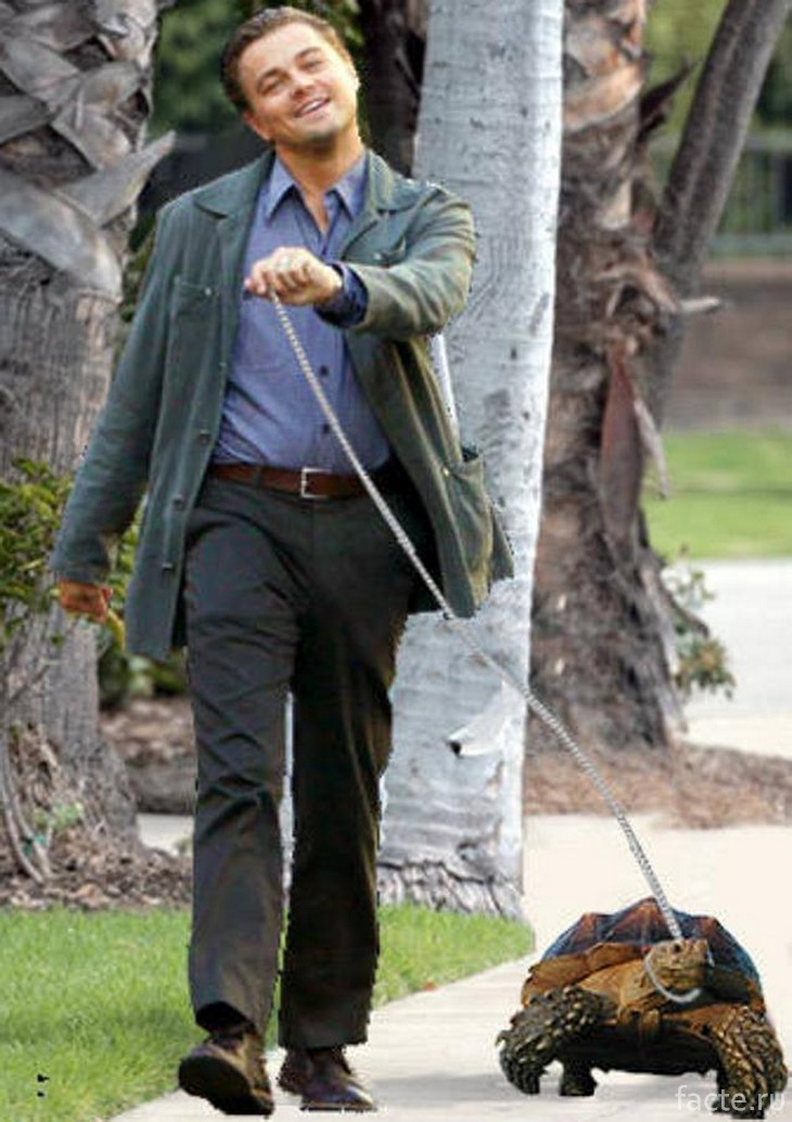 Экзотика: самые странные домашние питомцы, которые жили у знаменитостей