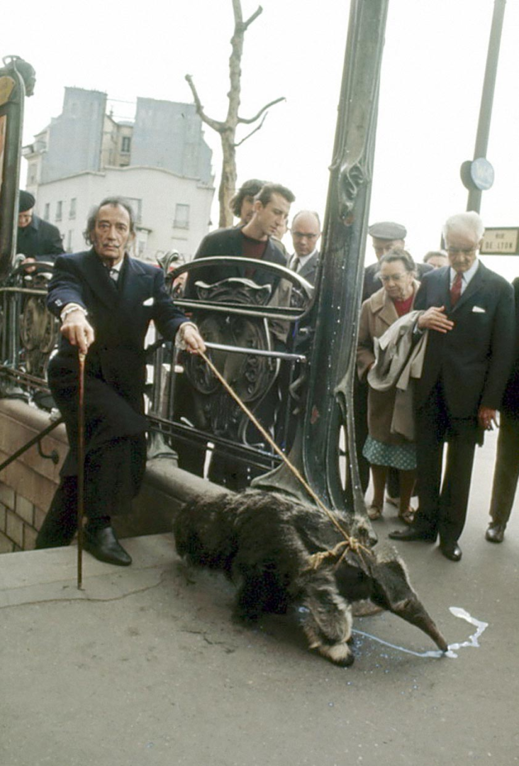 Экзотика: самые странные домашние питомцы, которые жили у знаменитостей